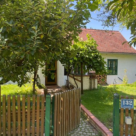 Landhaus Nitsch Appartement - Gaestehaus Nitsch Appartement Prinzendorf an Der Zaya Exteriör bild